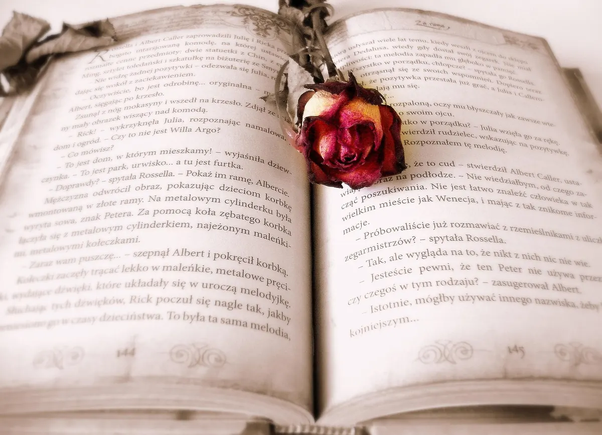 Charity Shop Diary Crafting: What to Look For in UK Second-Hand Shops